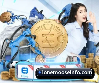 规模扩大 - 注册用户突破500万,与多家国际顶级内容供应商建立战略合作。